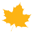 Wilfrid Laurier International College official website logo